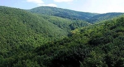 135075_20251226103818_20251226103818.jpg - RevistaPolitica