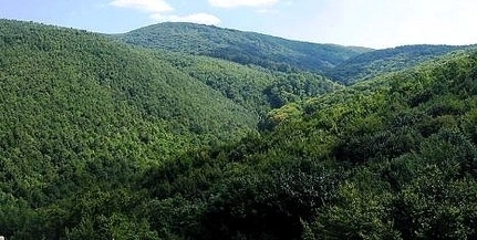 135075_20251226103818_20251226103818.jpg - RevistaPolitica