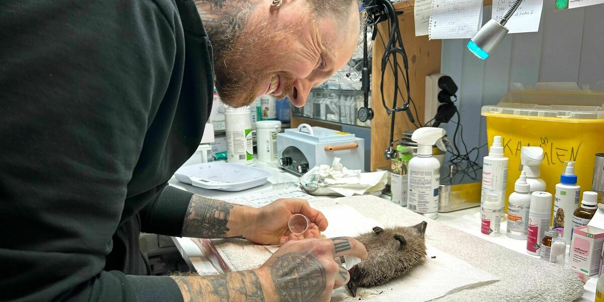 39494842.jpeg - RevistaPolitica