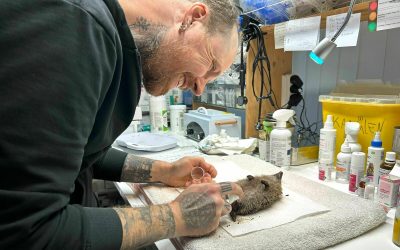 39494842.jpeg - RevistaPolitica