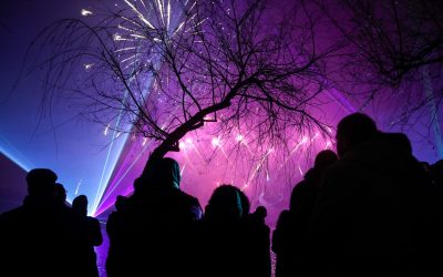 Artificii-Bucuresti-George_Calin.jpg - RevistaPolitica