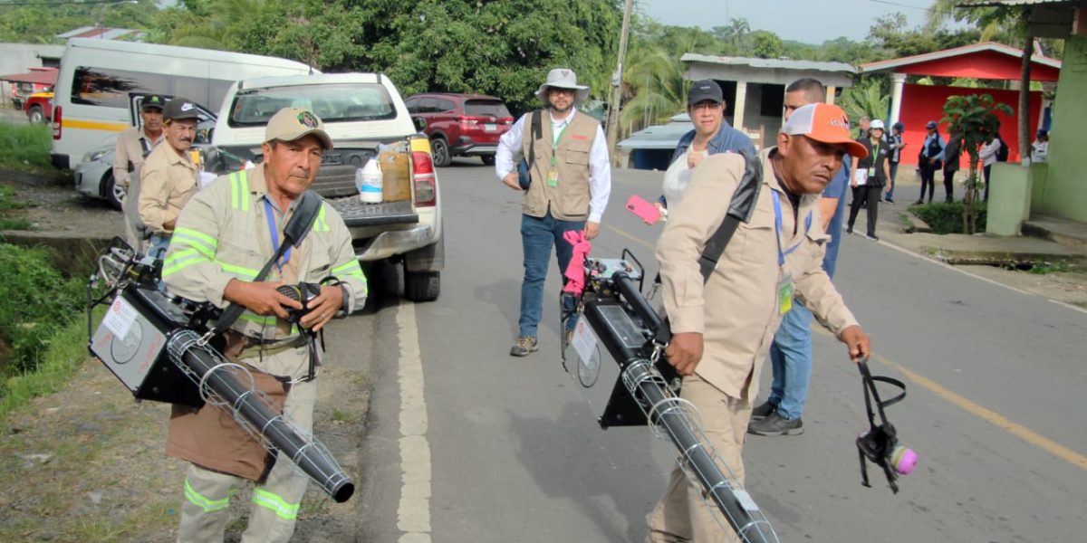 Dengue-2.jpeg - RevistaPolitica