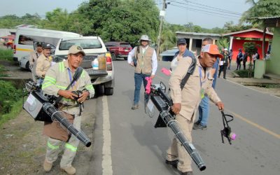 Dengue-2.jpeg - RevistaPolitica