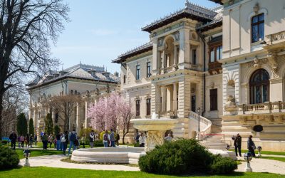 Magistrații indică slăbiciunile structurale ale justiției, conform Administrației Prezidențiale - RevistaPolitica