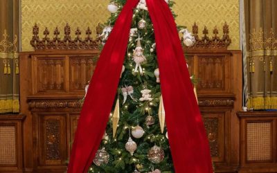 Nicușor Dan, președintele, transmite un mesaj cu ocazia Crăciunului: Să - RevistaPolitica