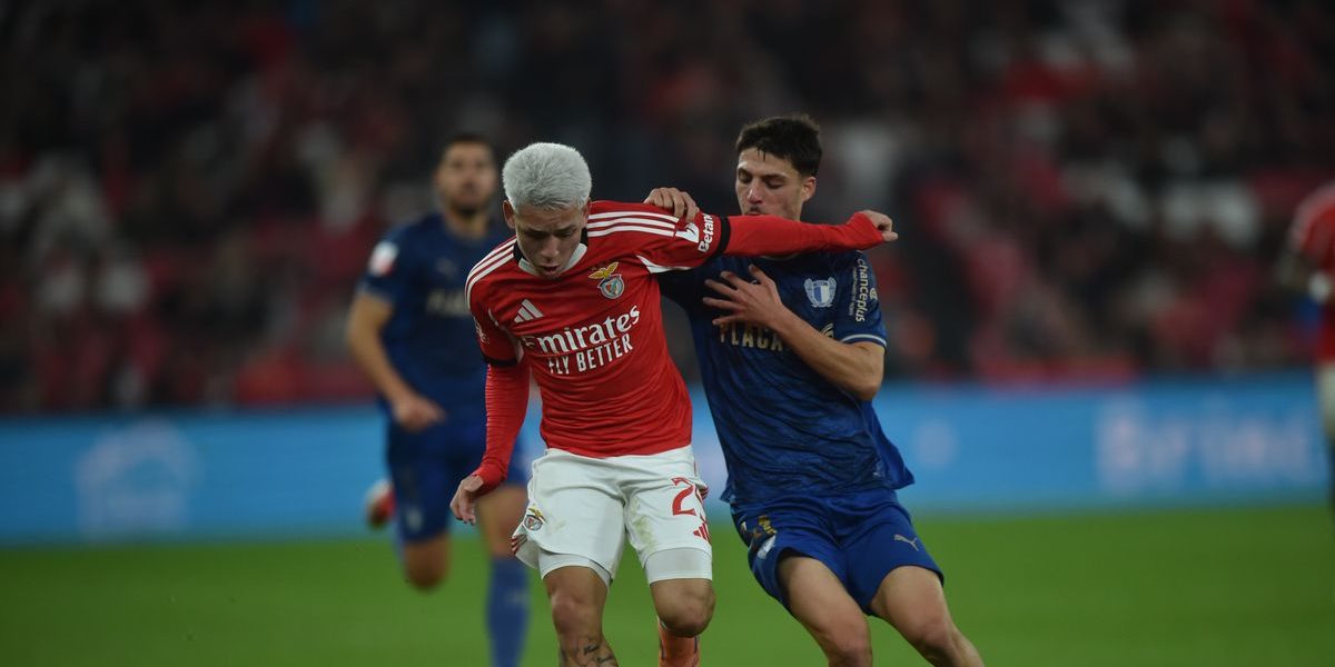 a51f9fc4-8d79-4a59-bde4-380594dac7f8.jpg - RevistaPolitica