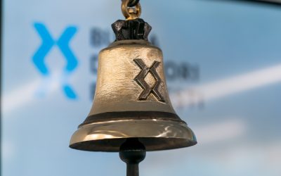 bvb-noua-identitate-7-copy.jpg - RevistaPolitica