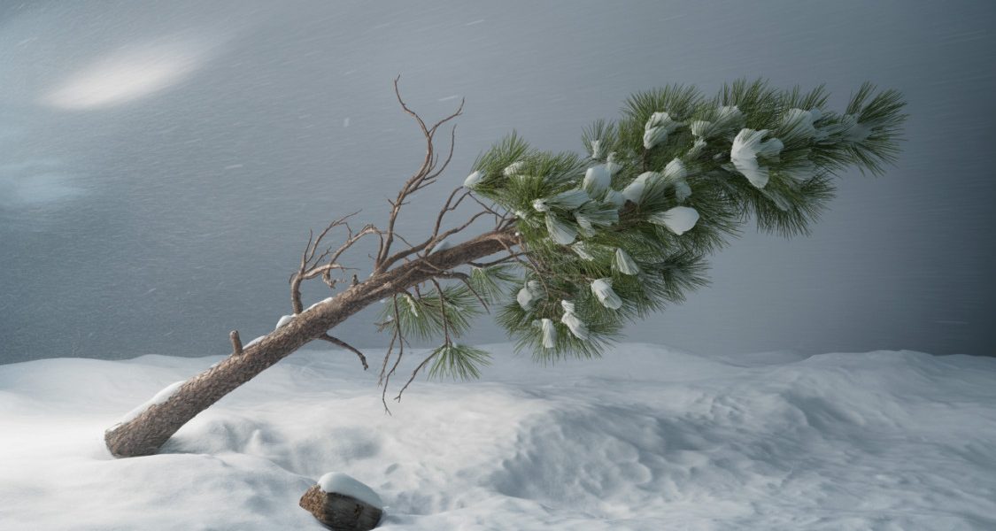 idojaras-ciklon-szel-vihar-hungaromet-magyarorszag-norvegia-meteorologia-ho-szelvihar-797120.jpg - RevistaPolitica