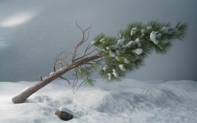 idojaras-ciklon-szel-vihar-hungaromet-magyarorszag-norvegia-meteorologia-ho-szelvihar-797120.jpg - RevistaPolitica