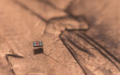 penn-and-umich-create-1.jpg - RevistaPolitica