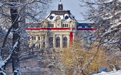 01_Primaria_Oradea_12012026.jpg - RevistaPolitica