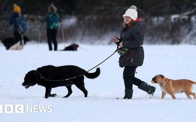 13f16920-e819-11f0-839a-cb59c476f427.jpg - RevistaPolitica