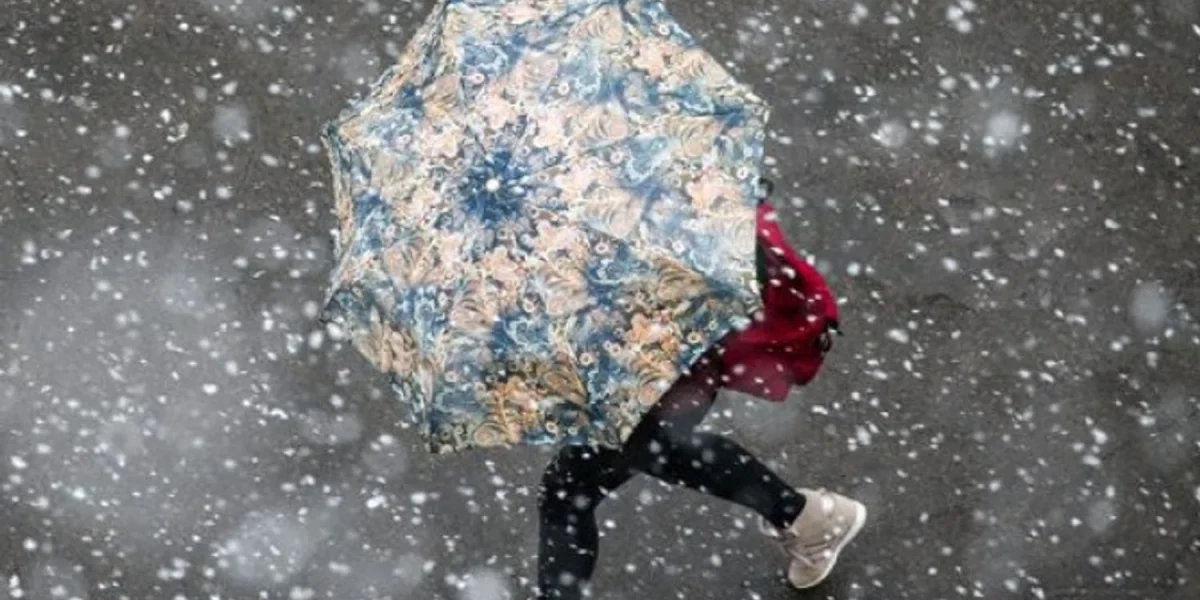 1767374602-2635-large.webp.webp - RevistaPolitica