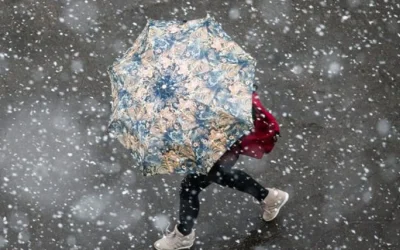 1767374602-2635-large.webp.webp - RevistaPolitica