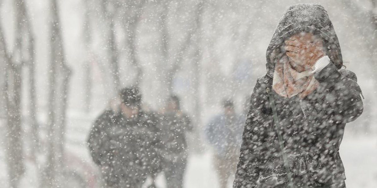 1769491311_index.jpeg - RevistaPolitica