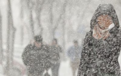 1769491311_index.jpeg - RevistaPolitica