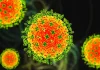 1769500960760_virus-nipah1-1769474634.webp.webp - RevistaPolitica