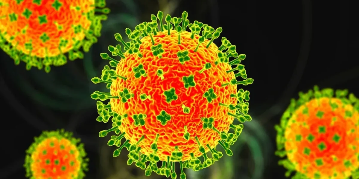 1769500960760_virus-nipah1-1769474634.webp.webp - RevistaPolitica