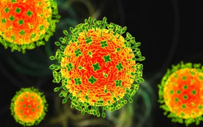 1769500960760_virus-nipah1-1769474634.webp.webp - RevistaPolitica