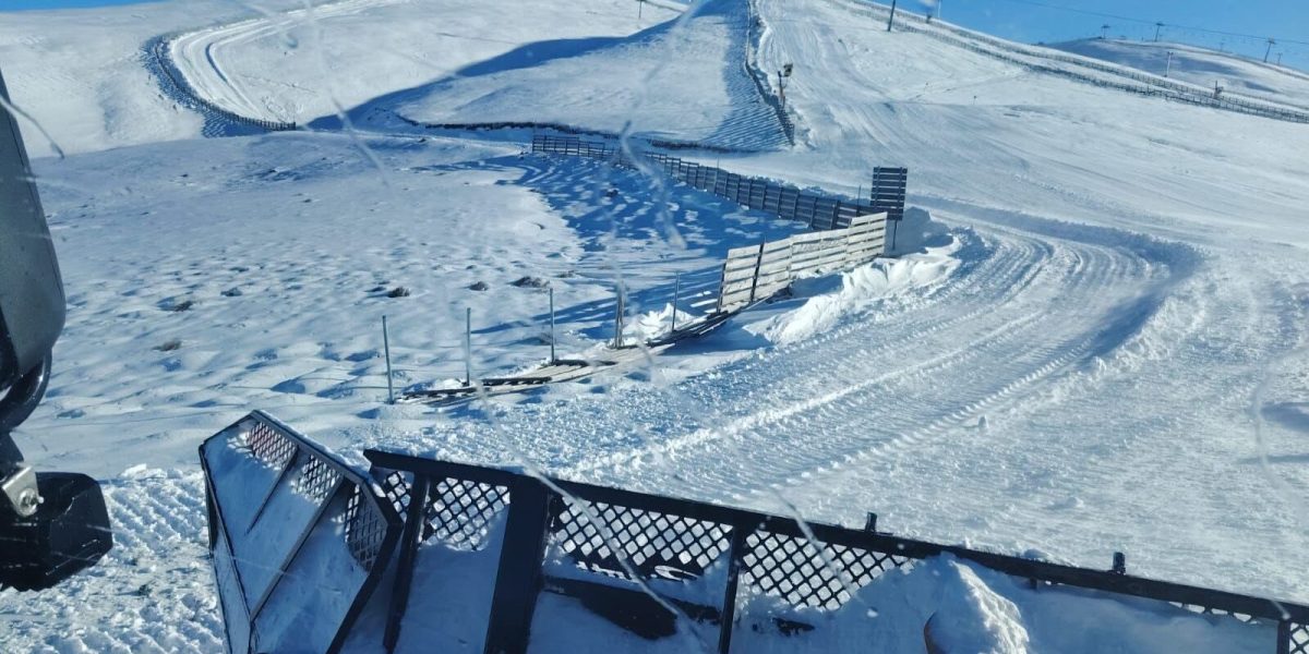 606310258_1278359477655740_6248154203446451249_n-e1768032281187.jpg - RevistaPolitica