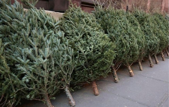 608446126_122117816589044644_1494675727540220650_n.jpg - RevistaPolitica