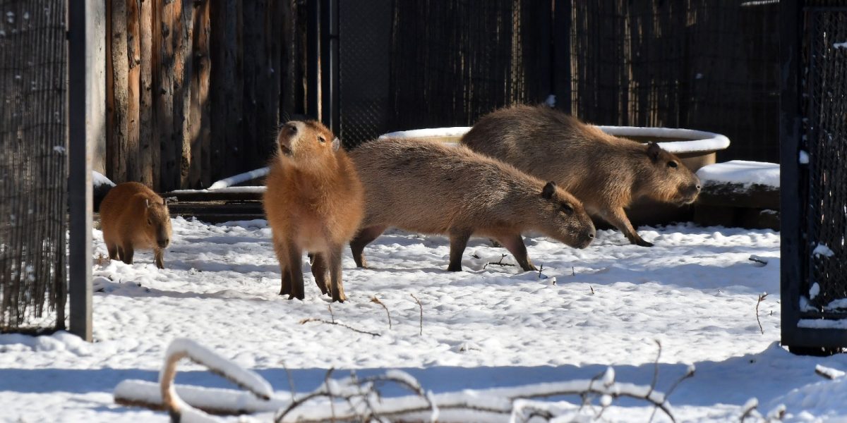 614370520_1220176896956679_1214751046734950909_n.jpg - RevistaPolitica