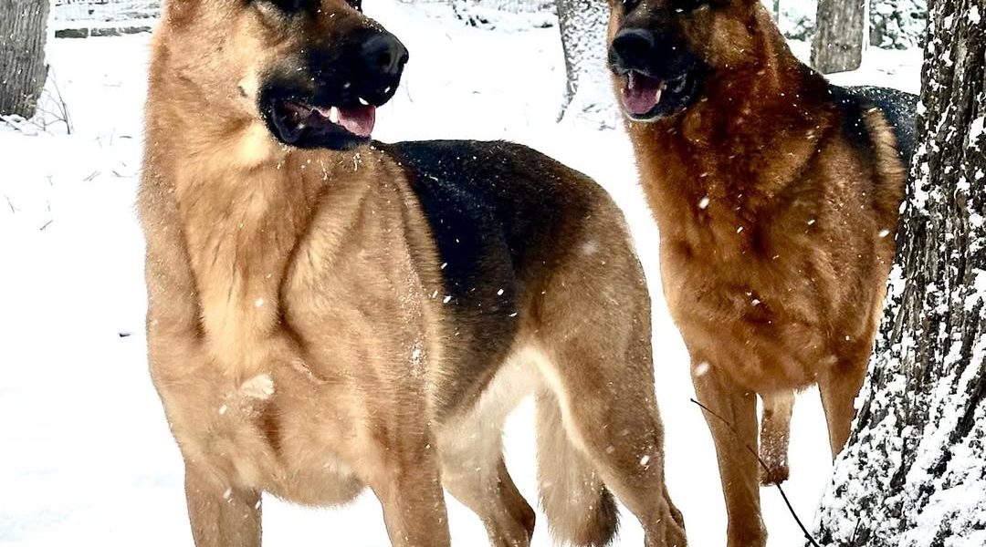 614862386_1473170691474745_5015169552524529986_n.jpg - RevistaPolitica