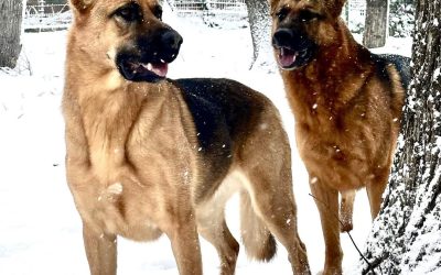 614862386_1473170691474745_5015169552524529986_n.jpg - RevistaPolitica