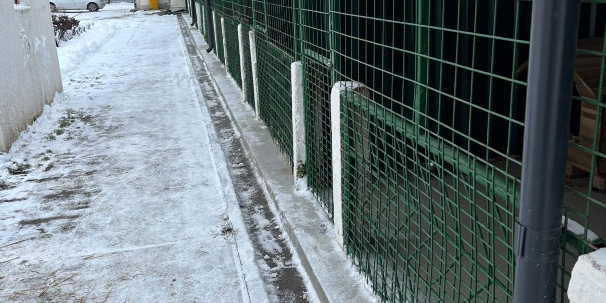 615938250_1228115772806891_777441481817605917_n.jpg - RevistaPolitica