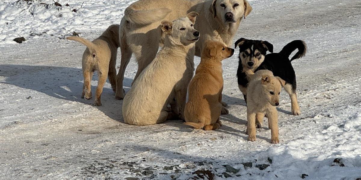 617010765_902975602099066_5841180053117019397_n.jpg - RevistaPolitica