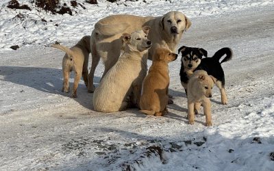 617010765_902975602099066_5841180053117019397_n.jpg - RevistaPolitica