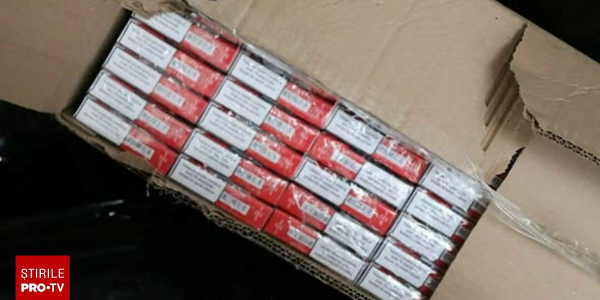 62591867-2.jpg - RevistaPolitica