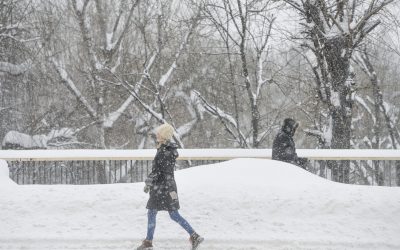 7411936-mediafax_foto-andreea_alexandru-scaled.jpg - RevistaPolitica