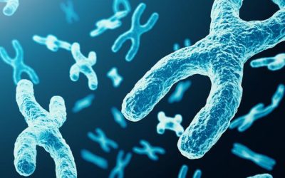 9f2a2e04a053cda7a8c096e532e43d28.jpeg - RevistaPolitica