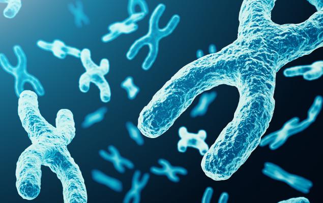 9f2a2e04a053cda7a8c096e532e43d28.jpeg - RevistaPolitica