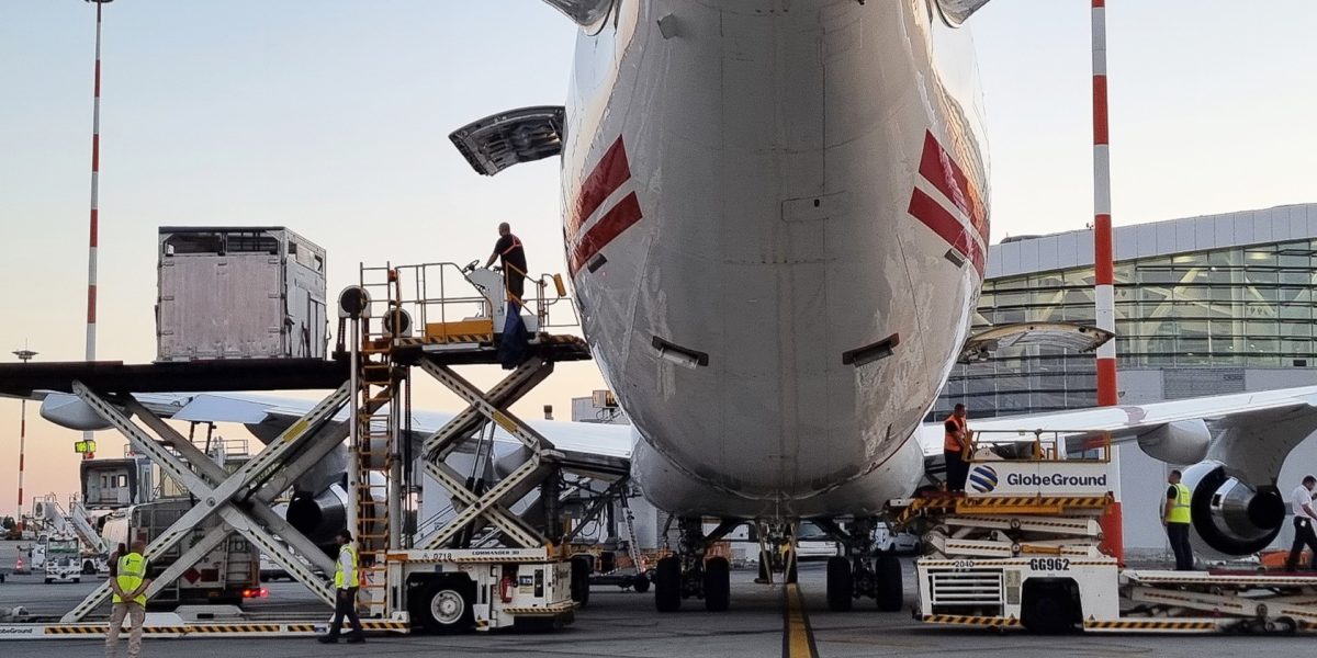 Captura-de-ecran-2026-01-31-061618.jpg - RevistaPolitica