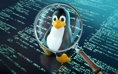 De-ce-este-Kubuntu-26.04-LTS-una-dintre-cele-mai-asteptate-lansari-Linux-din-2026.jpg - RevistaPolitica