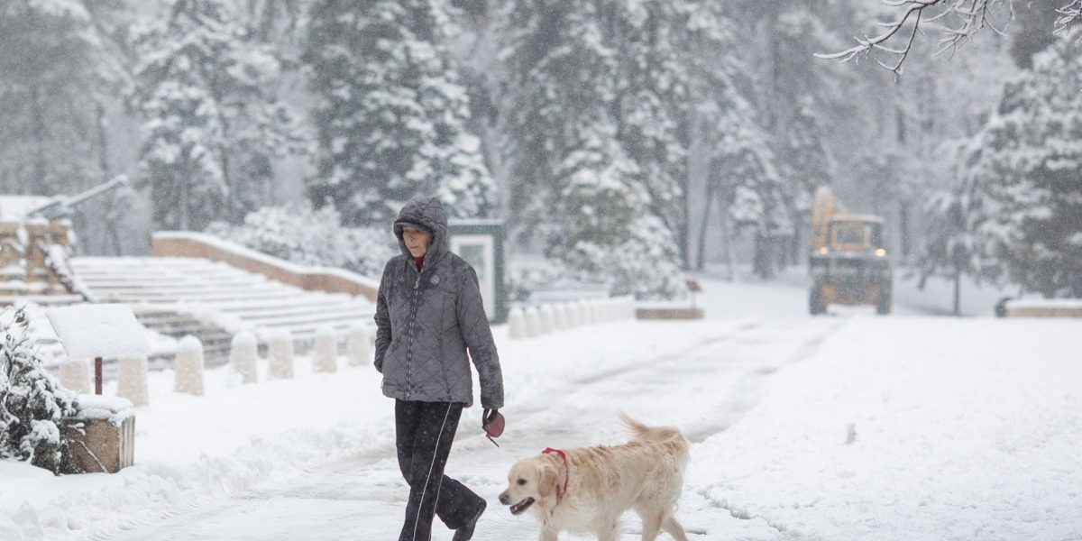 FB1A9678.jpg - RevistaPolitica