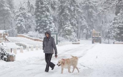 FB1A9678.jpg - RevistaPolitica