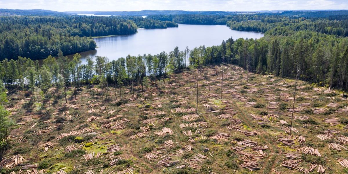 GettyImages-1336631428.jpg - RevistaPolitica