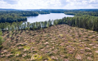 GettyImages-1336631428.jpg - RevistaPolitica