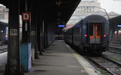 ID186355_INQUAM_Photos_George_Calin-1600x1067-1.jpg - RevistaPolitica