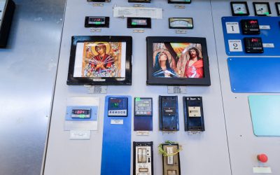 ID194812_INQUAM_Photos_Virgil_Simonescu-1600x1067-1.jpg - RevistaPolitica