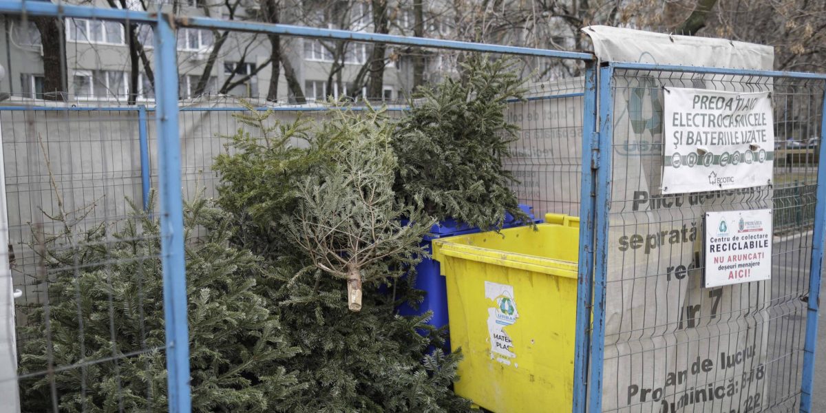 ID211408_INQUAM_Photos_Octav_Ganea-scaled.jpg - RevistaPolitica