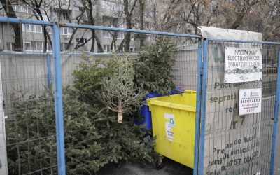 ID211408_INQUAM_Photos_Octav_Ganea-scaled.jpg - RevistaPolitica