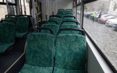 ID240959_INQUAM_Photos_George_Calin-scaled.jpg - RevistaPolitica