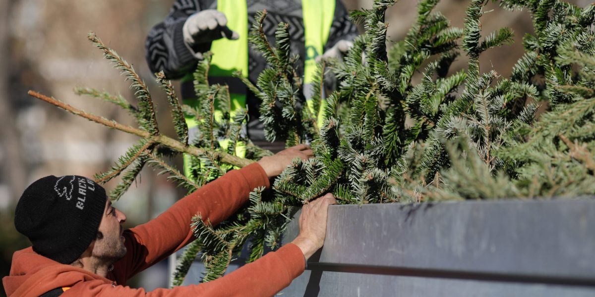 ID243158_INQUAM_Photos_George_Calin-scaled.jpg - RevistaPolitica