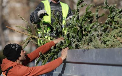 ID243158_INQUAM_Photos_George_Calin-scaled.jpg - RevistaPolitica