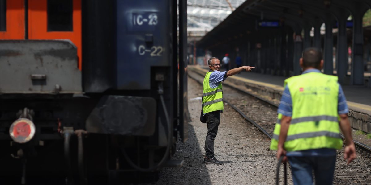 ID264258_INQUAM_Photos_George_Calin-scaled.jpg - RevistaPolitica