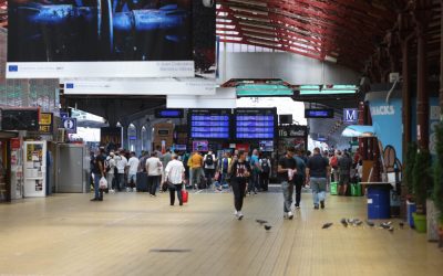 ID264270_INQUAM_Photos_George_Calin-1000x667.jpg - RevistaPolitica